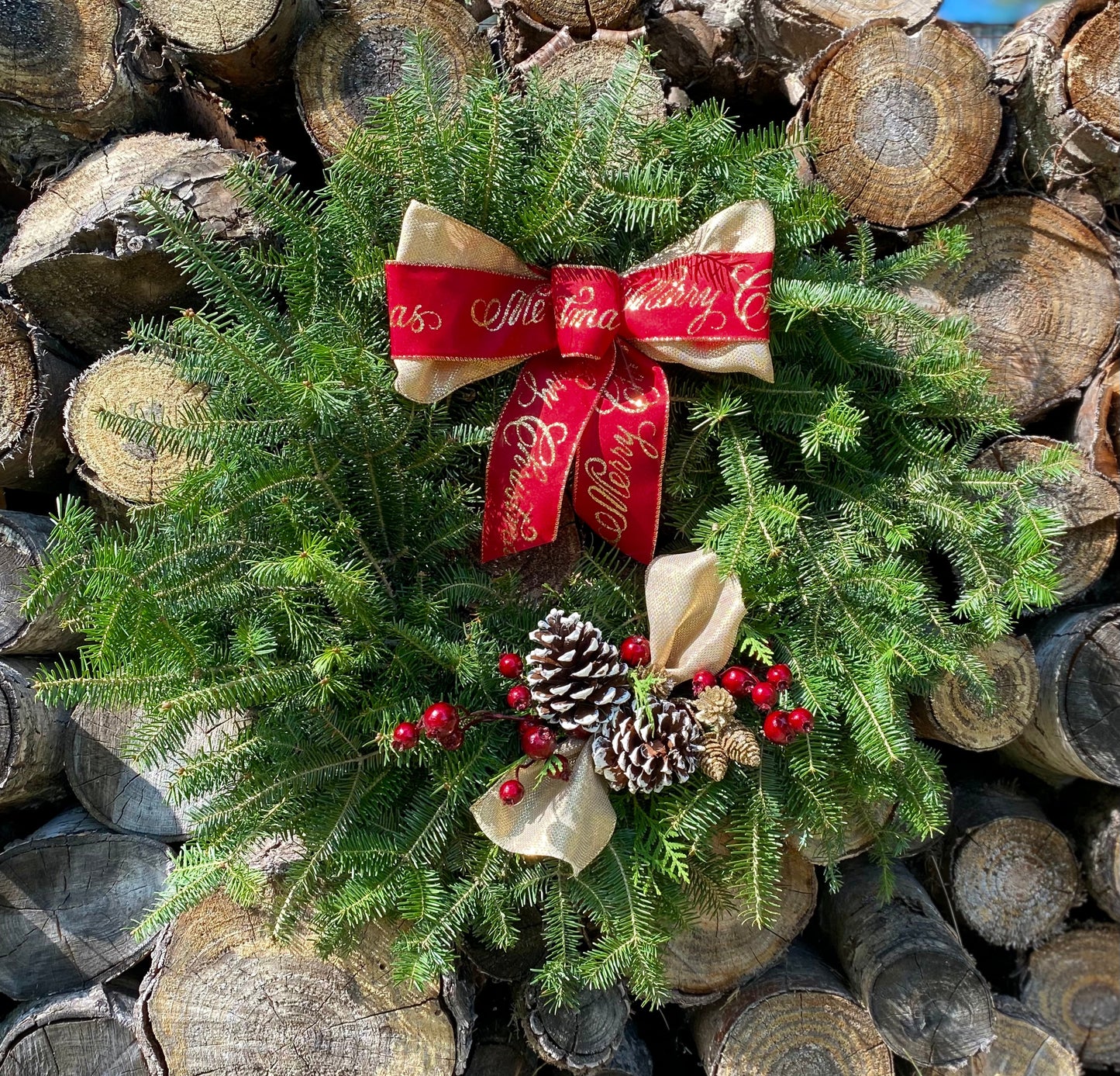 24" Specialty Wreaths-Decorative Evergreens