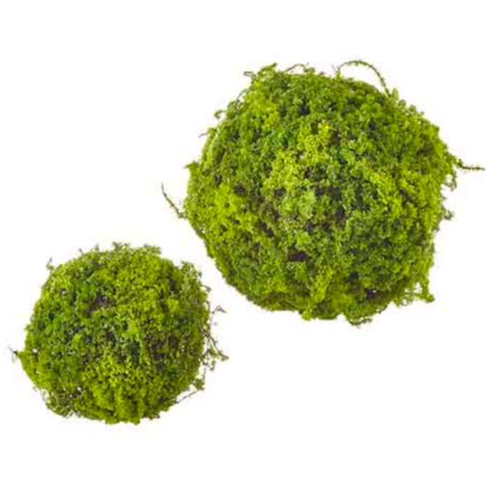 Moss Balls, Set of 2