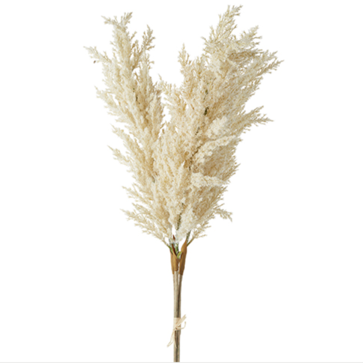 Pampas Grass Bundle of 3