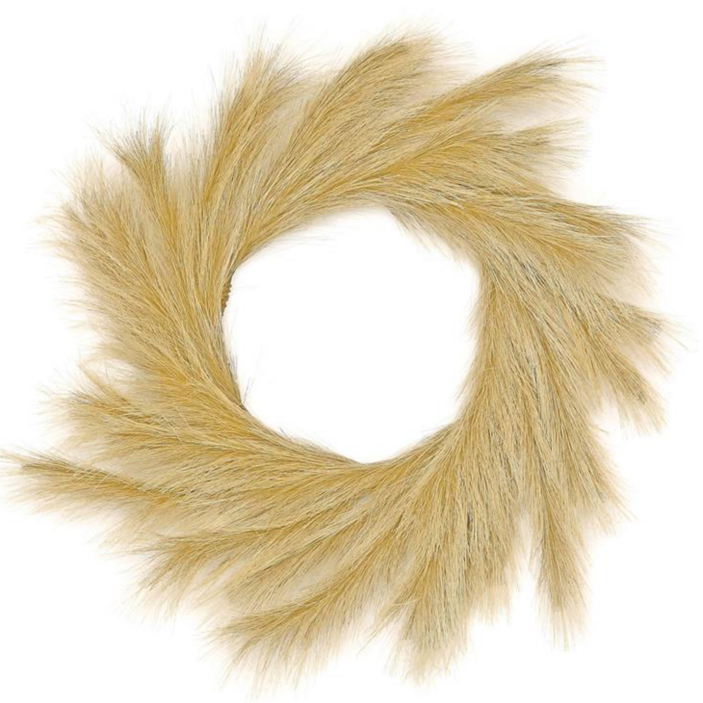 Pampas Plume Wreath, 20"