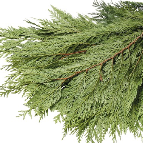 Evergreen Boughs, #3 Florist Bundle-Do It Yourself-Christmas Delivered
