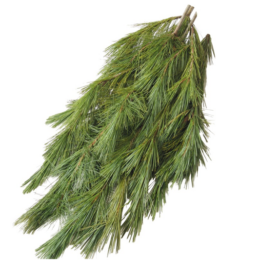 Evergreen Bundles