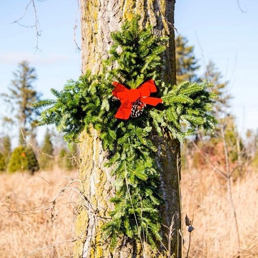 Cross Wreath, 36"-Decorative Evergreens-Christmas Delivered