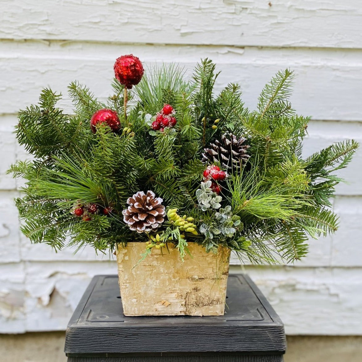 Birch Box Centerpiece-Decorative Evergreens-Cheryls Greenhouse