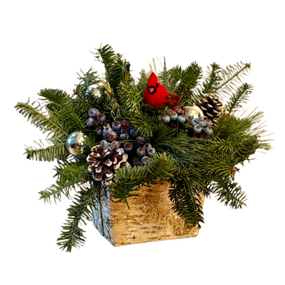 Decorative Christmas arrangement with greenery, pinecones, berries, and a cardinal bird in a wooden box on a white background.