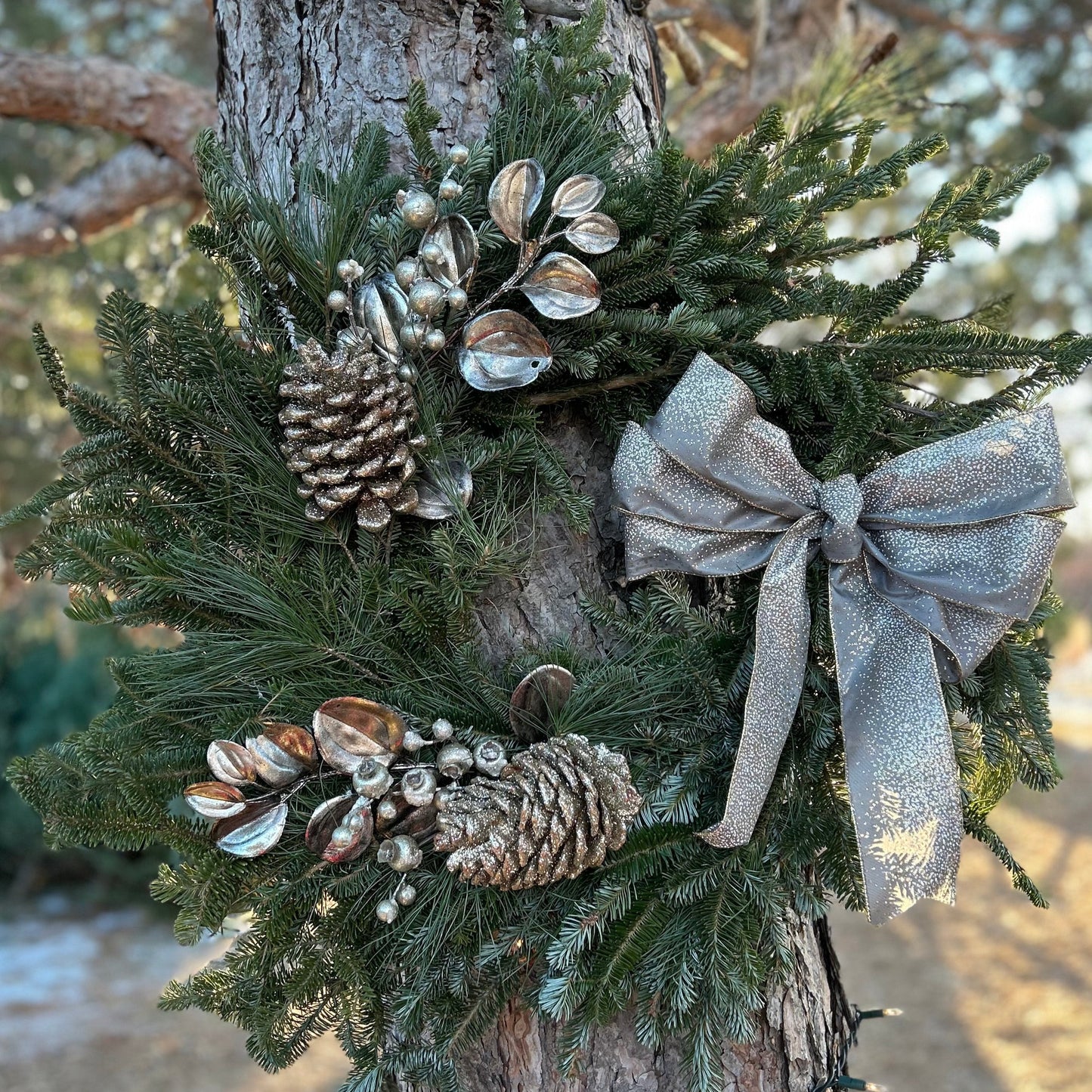 24" Specialty Wreaths-Decorative Evergreens