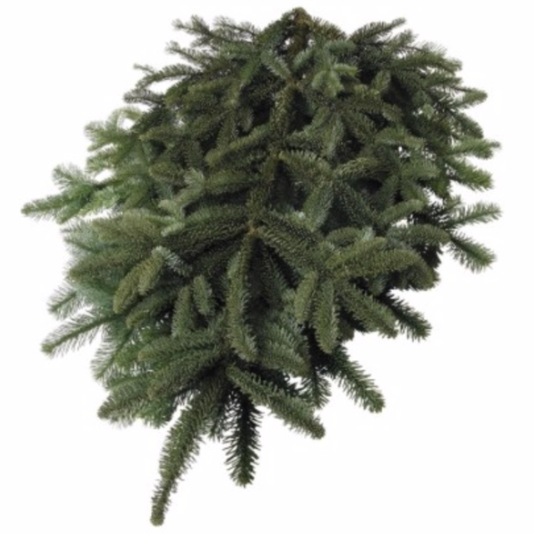 Evergreen Boughs, #3 Florist Bundle-Do It Yourself-Christmas Delivered