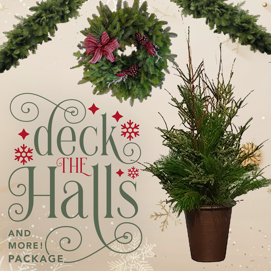 Holiday Package - Deck the Halls & More!