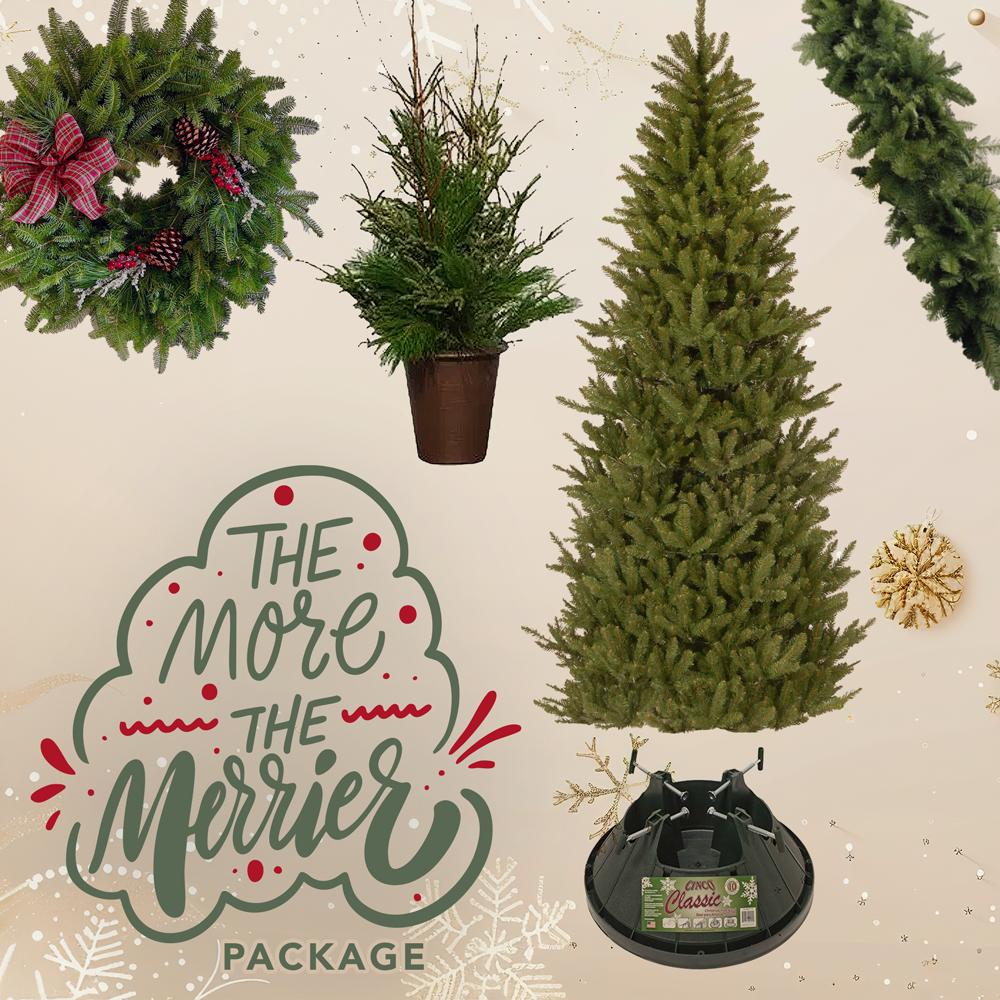 Holiday Package - The More the Merrier!